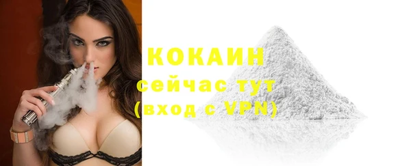 ПСИЛОЦИБИНОВЫЕ ГРИБЫ Бородино