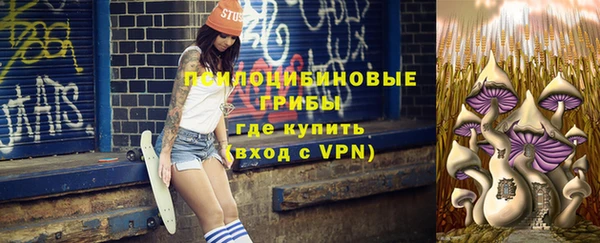 прущая мука Верхний Тагил