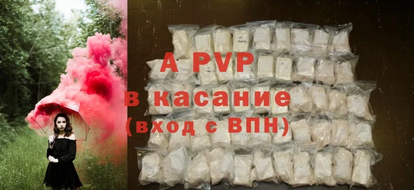 ПСИЛОЦИБИНОВЫЕ ГРИБЫ Бородино