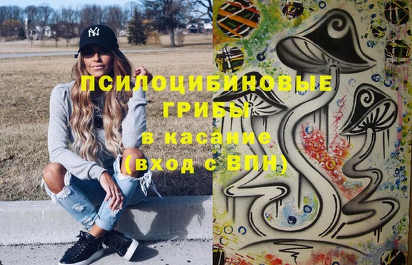 дмт Бронницы