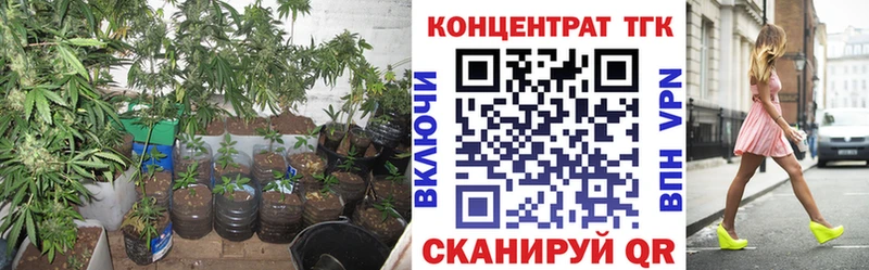 даркнет сайт Южноуральск Дистиллят ТГК Wax
