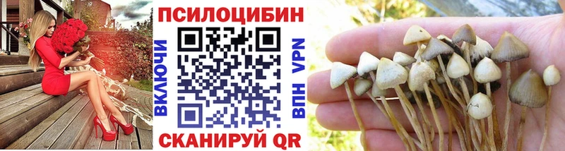 дарнет шоп  Южноуральск  Псилоцибиновые грибы мухоморы 